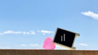 倒れたエクセルコ